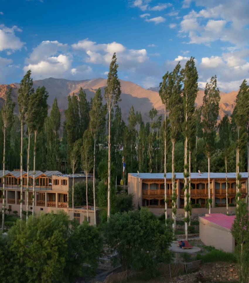 WhatsApp Image 2026-03-18 at 16.43.04