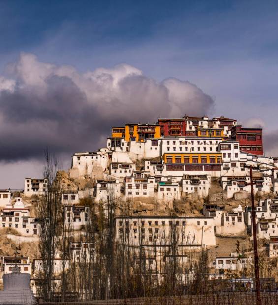 pexels-shalenderkumar-6650457 (1)