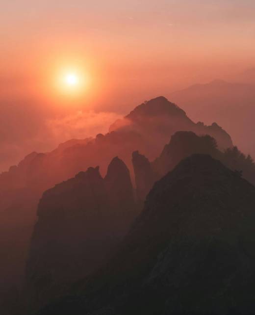 pexels-simone-defendi-262061463-12762122